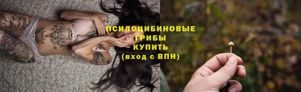 меф Алексин