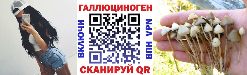 Галлюциногенные грибы MAGIC MUSHROOMS  Краснокамск 